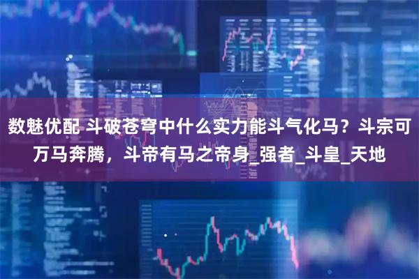 数魅优配 斗破苍穹中什么实力能斗气化马？斗宗可万马奔腾，斗帝有马之帝身_强者_斗皇_天地