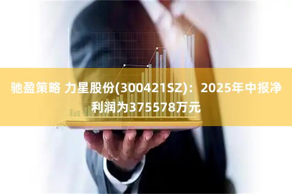 驰盈策略 力星股份(300421SZ)：2025年中报净利润为375578万元
