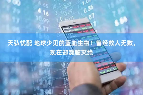 天弘忧配 地球少见的蓝血生物！曾经救人无数，现在却濒临灭绝