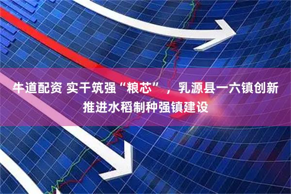 牛道配资 实干筑强“粮芯” ，乳源县一六镇创新推进水稻制种强镇建设