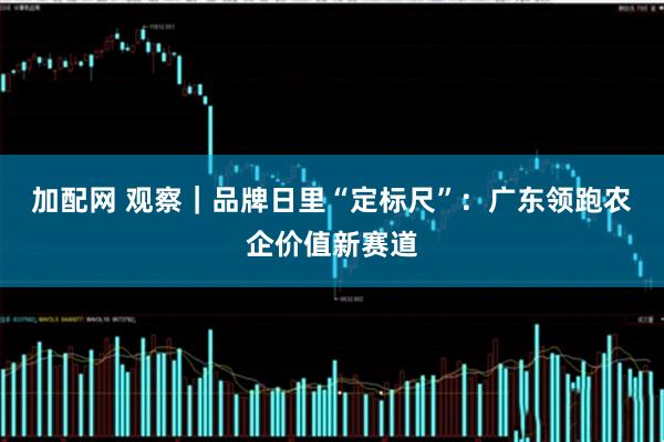 加配网 观察｜品牌日里“定标尺”：广东领跑农企价值新赛道