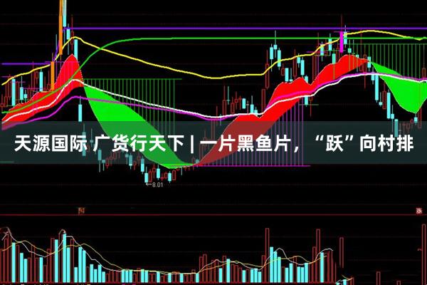 天源国际 广货行天下 | 一片黑鱼片，“跃”向村排