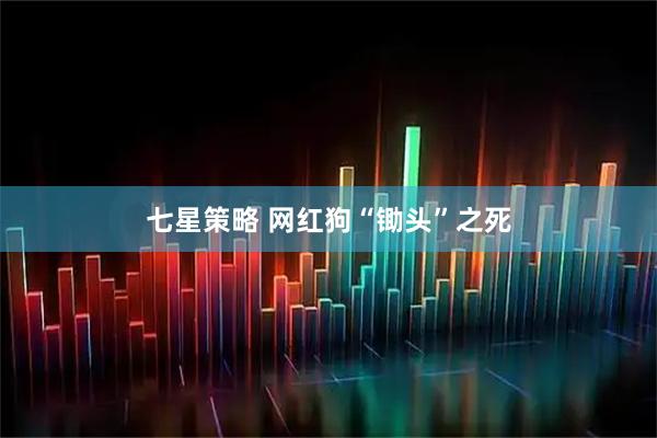 七星策略 网红狗“锄头”之死