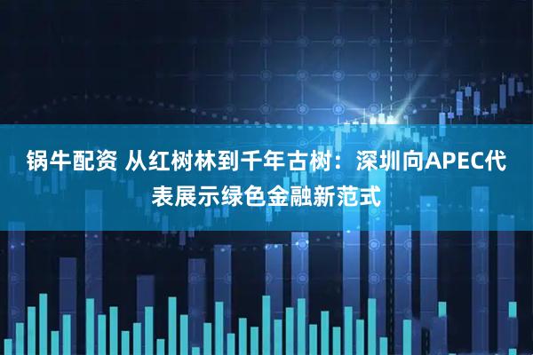 锅牛配资 从红树林到千年古树：深圳向APEC代表展示绿色金融新范式