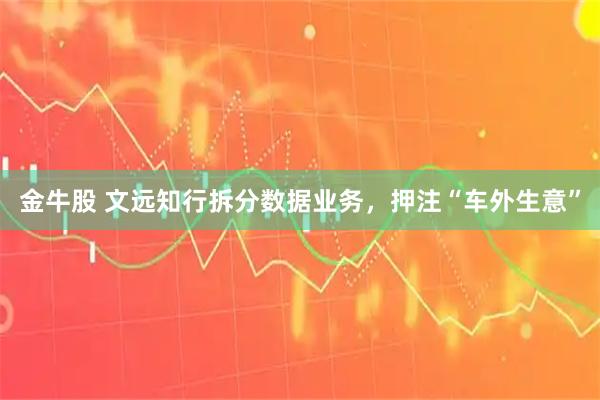 金牛股 文远知行拆分数据业务，押注“车外生意”